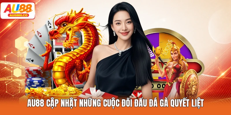 AU88 cập nhật những cuộc đối đầu đá gà quyết liệt