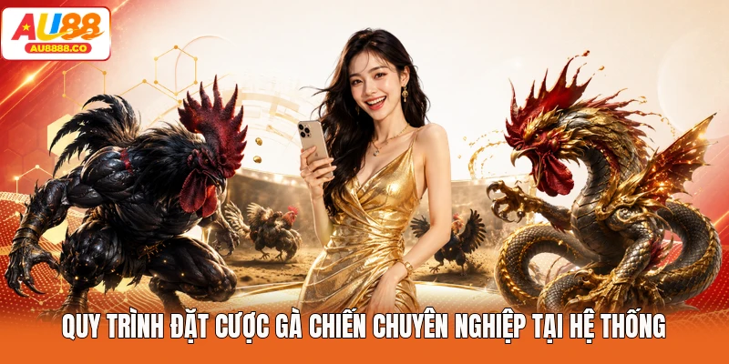 Quy trình đặt cược gà chiến chuyên nghiệp tại hệ thống