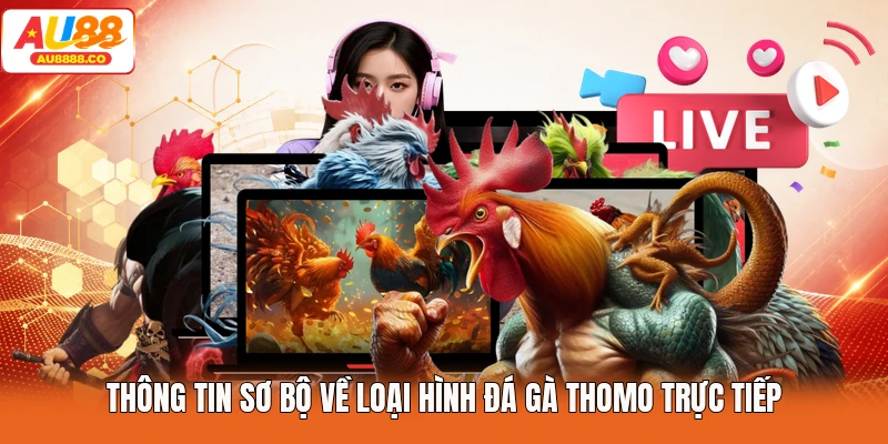 Thông tin sơ bộ về loại hình đá gà thomo trực tiếp