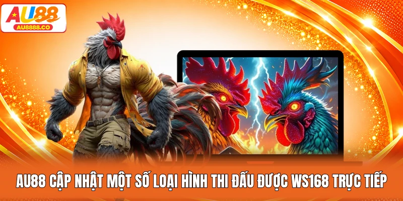 AU88 cập nhật một số loại hình thi đấu được WS168 trực tiếp
