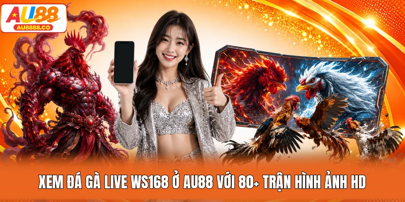 Xem Đá Gà Live WS168 Ở AU88 Với 80+ Trận Hình Ảnh HD